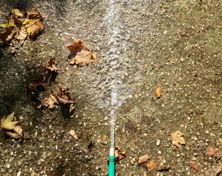 Hosing down the pavement during fall,  spraying water over the fallen golden leaves in the evening sunlight
