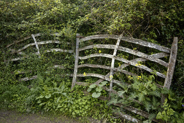 Barranco de Binigaus, "Tanca".Es Migjorn Gran (san Cristobal). Menorca. Baleares.Espa&ntilde;a.