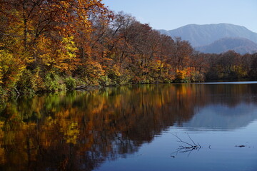 Beautiful lake reflection in autumn landscape at Northern Alps of Japan, Otari, Nagano