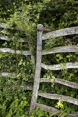 Barranco de Binigaus, 