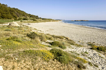 Playa de Binigaus.Es Migjorn Gran (san Cristobal). Menorca. Baleares.España.