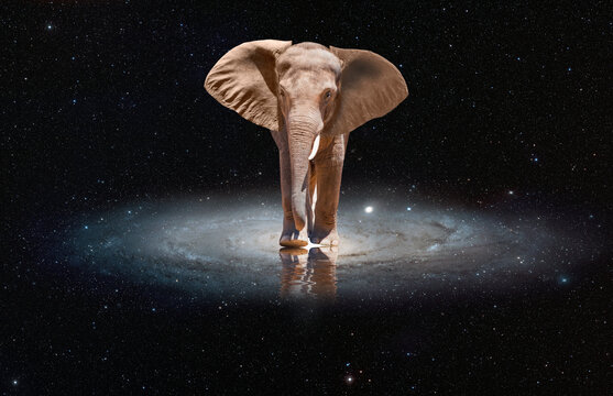 African elephant in the centre of  Andromeda galaxy "Elements of this image furnished by NASA" 