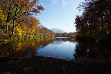 Obraz premium Beautiful lake reflection in autumn landscape at Northern Alps of Japan, Otari, Nagano