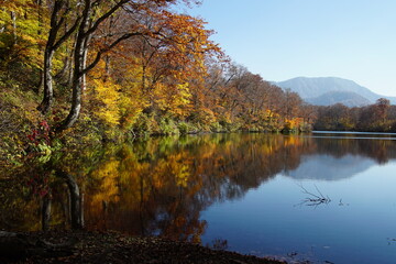 Obraz na płótnie Canvas Beautiful lake reflection in autumn landscape at Northern Alps of Japan, Otari, Nagano