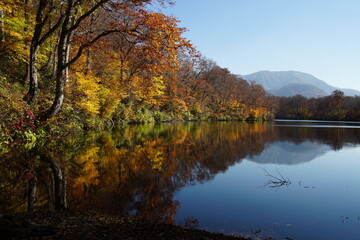 Beautiful lake reflection in autumn landscape at Northern Alps of Japan, Otari, Nagano