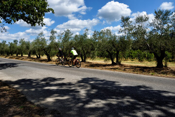 horse riding on a road