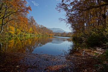 Fototapeta na wymiar Beautiful lake reflection in autumn landscape at Northern Alps of Japan, Otari, Nagano