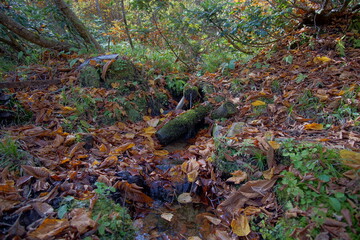 Beautiful autumn landscape in Northern Alps of Japan, Otari, Nagano