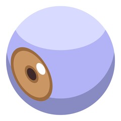 Human eye ball icon. Isometric of human eye ball vector icon for web design isolated on white background