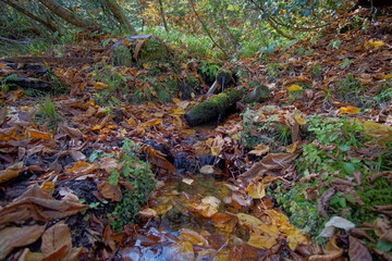 Beautiful autumn landscape in Northern Alps of Japan, Otari, Nagano