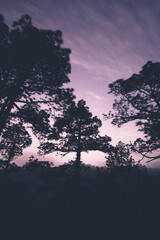 sunset in the mountains