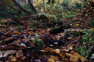 Beautiful autumn landscape in Northern Alps of Japan, Otari, Nagano