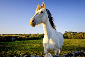 Lloc de Son Seu. Menorca. Islas Baleares.España.