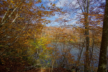 Beautiful autumn landscape in Northern Alps of Japan, Otari, Nagano.