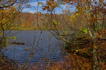 Fototapeta premium Beautiful autumn landscape in Northern Alps of Japan, Otari, Nagano.