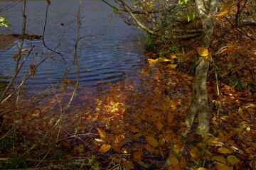 Beautiful autumn landscape in Northern Alps of Japan, Otari, Nagano.