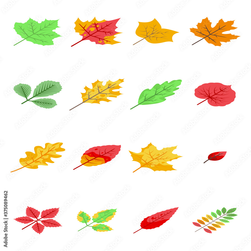 Poster autumn leaves icons set. isometric set of autumn leaves vector icons for web design isolated on whit