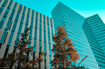Modern office buildings. Low angle view to infinite corporate buildings with tree on foreground