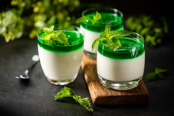 Dessert Panna Cotta with green mint sauce and fresh mint on dark background