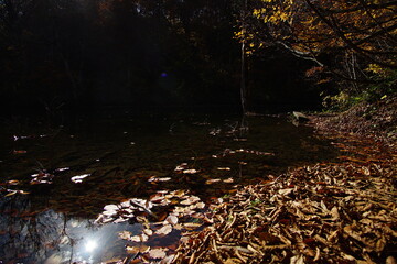 Beautiful colored trees with lake in autumn, landscape photography. Outdoor and nature in Japan