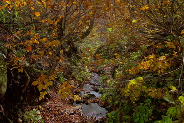 Beautiful autumn landscape in Northern Alps of Japan, Otari, Nagano.