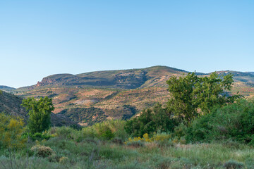 Fototapeta na wymiar mountainous landscape with vegetation