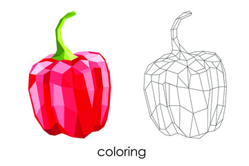 coloring polygonal vegetable red pepper low poly vector