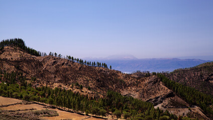 Gran Canaria, landscape of the central part of the island, Las Cumbres, ie The Summits