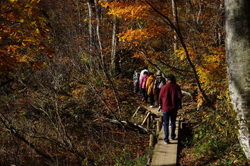 Obraz premium Beautiful autumn landscape in Northern Alps of Japan, Otari, Nagano.