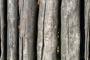 Fence from an old round tree trunk.
