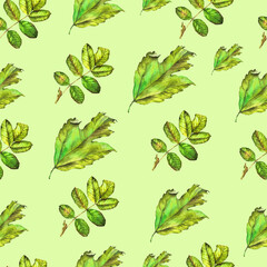various autumn leaves hand painted watercolor on white background, endlessly repeating patterns, green, yellow, orange leaves of maple, Rowan, elm, pattern printing Wallpaper and fabric.