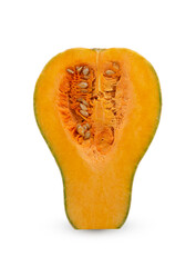 fresh honey nut squash on white background