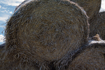 Texture of a round hay bale photographed from the front.