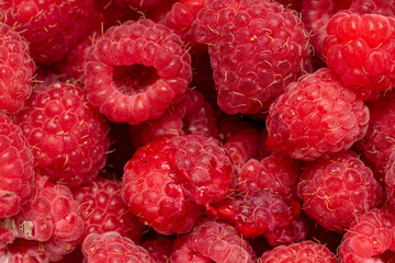 Raspberry berries, background from raspberries.