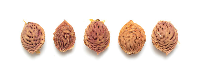 Peach pits on a white background.