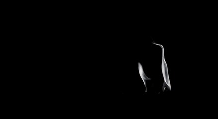 fire in the dark Black And White