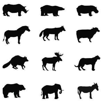 animal silhouettes on white background	