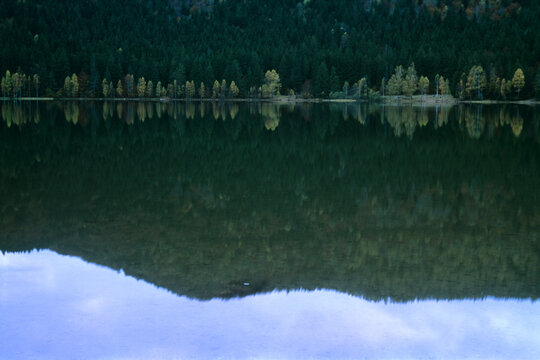 Hill full of fir trees reflected in the water of the volcanic Lake Saint Ann in Transylvania Romania