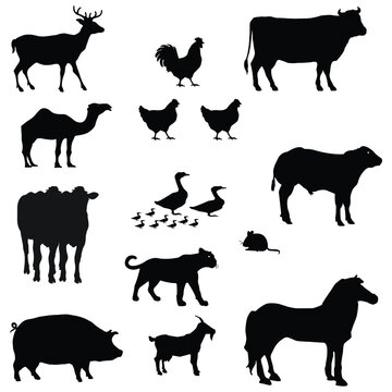 enormous animals silhouettes collection	