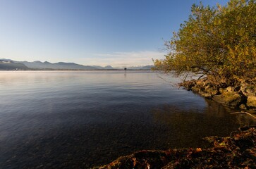 Bodenseemorgen
