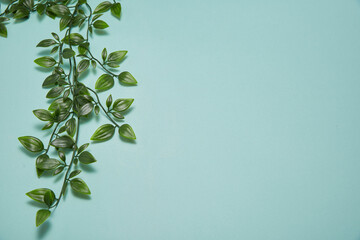 green leaves laid vertically on blue background. a fresh atmosphere.
