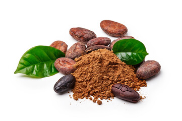 Cocoa beans with cocoa leaves and cocoa powder isolated on white