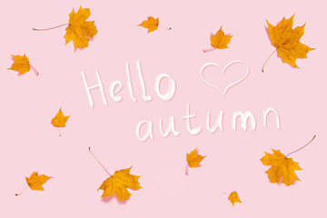 Autumn picture. Pink background with orange dry leaves and white text. Flat lay, top view, copy space.