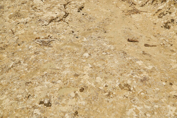 texture of old, cracked, sandy earth background