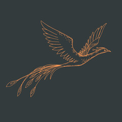 Fototapeta premium Vector image of a fiery silhouette firebird on a dark background