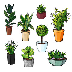 Set of green plants in pots. Hand drawn vector illustration isolated on white.