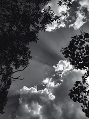 Sun rays through the clouds 