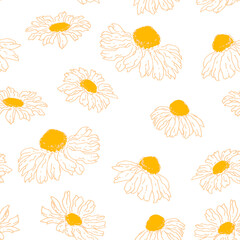 Seamless pattern of hand-drawn chamomiles in gentle colors. Isolated on white