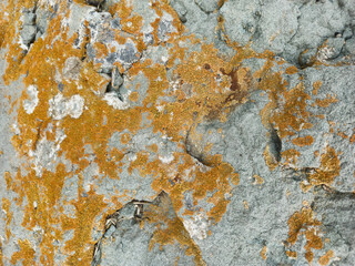 grey stone wall texture with cracks background