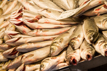 Branzino, mercato del pesce 